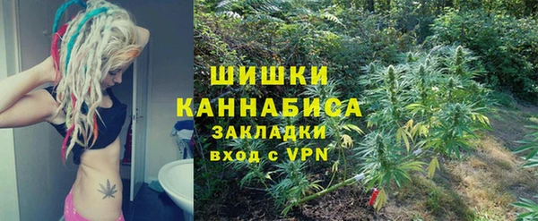 бошки Верхний Тагил