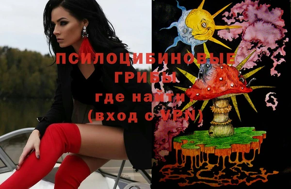 бошки Верхний Тагил