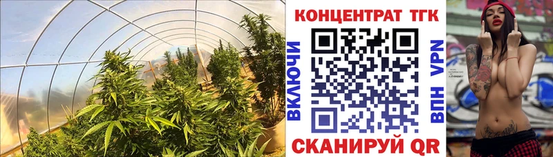 ТГК Wax  Тюмень 