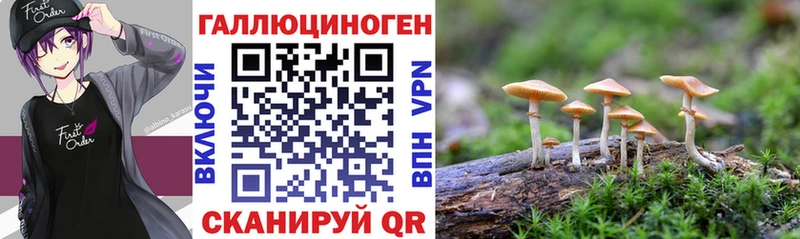 Галлюциногенные грибы мухоморы  Тюмень 